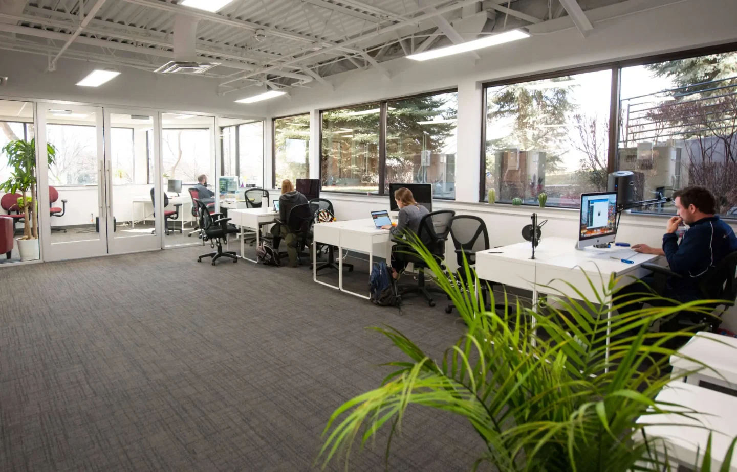 Big Red Jelly office with employees busy working on tasks.