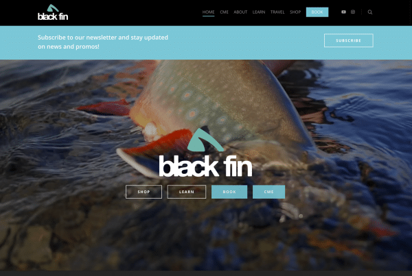 Black fin landing web page - wordpress web designing at Big Red Jelly.