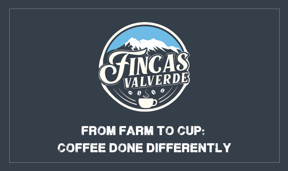 Fincas Valverde company logo and motto - new branding at Big Red Jelly.