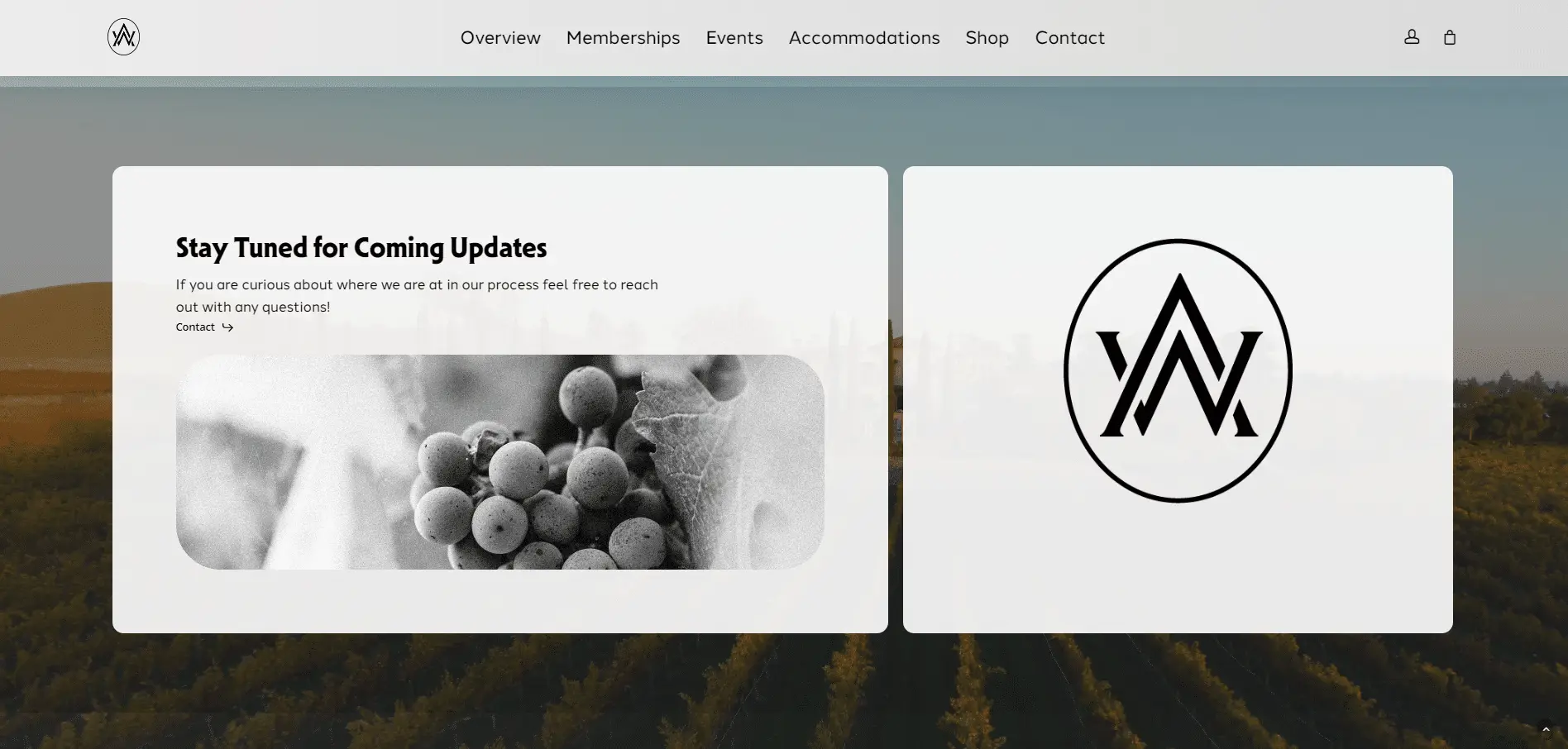 Adair Winery 3 Website section with a notice reading Stay Tuned for Coming Updates beside a black and white image of grapes, and a circular logo with stylized overlapping letter A and V on the right.