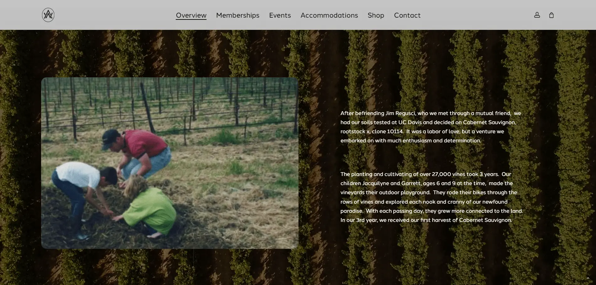 Adair Winery 6 Two people are kneeling and working in a vineyard, planting or tending to grapevines. The background shows neat vineyard rows with growing vines, and descriptive text appears beside the image on a patterned background.