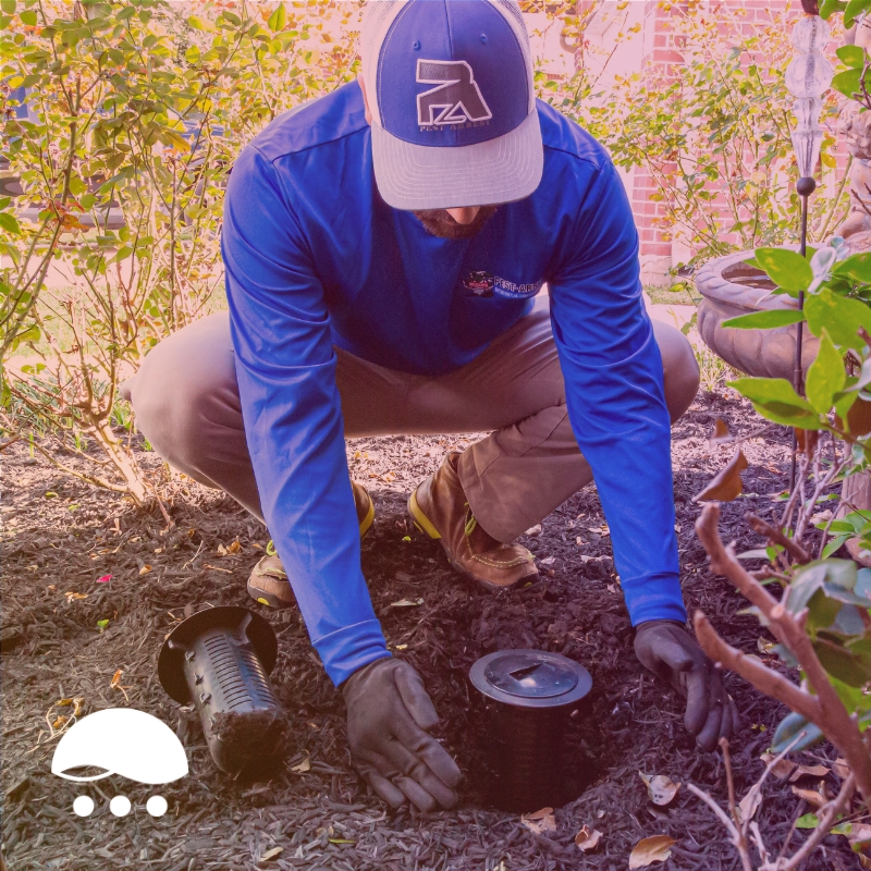 Digital Marketing and SEO Best Practices for Pest Control Companies.